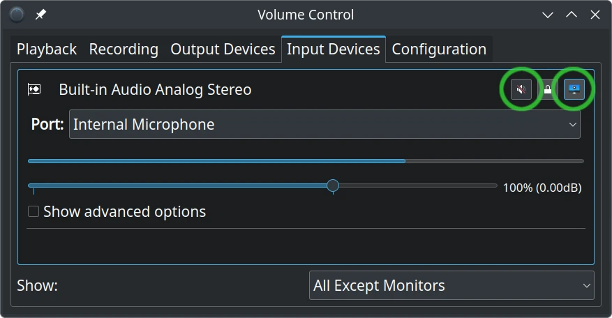 Check that Internal Microphone is unmuted and active.